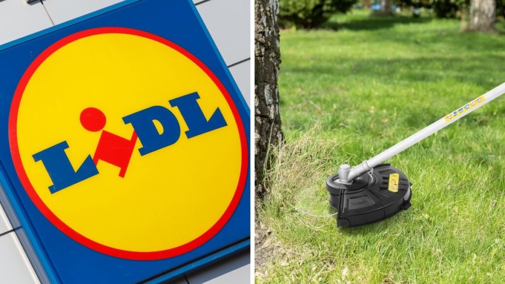 Da Lidl decespugliatore 2 in 1