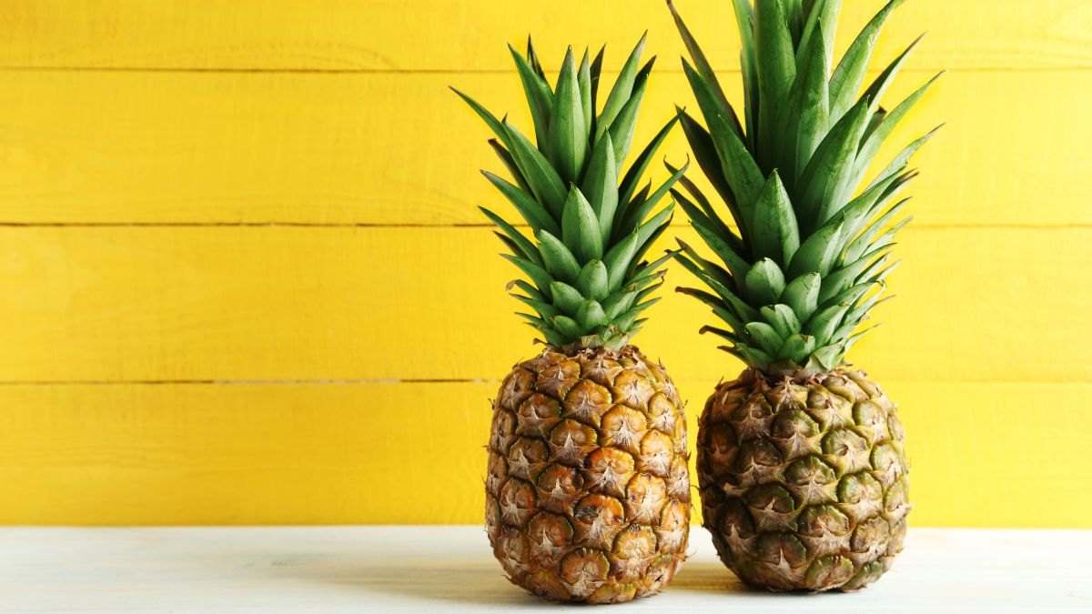 Come far germogliare ananas e lattuga