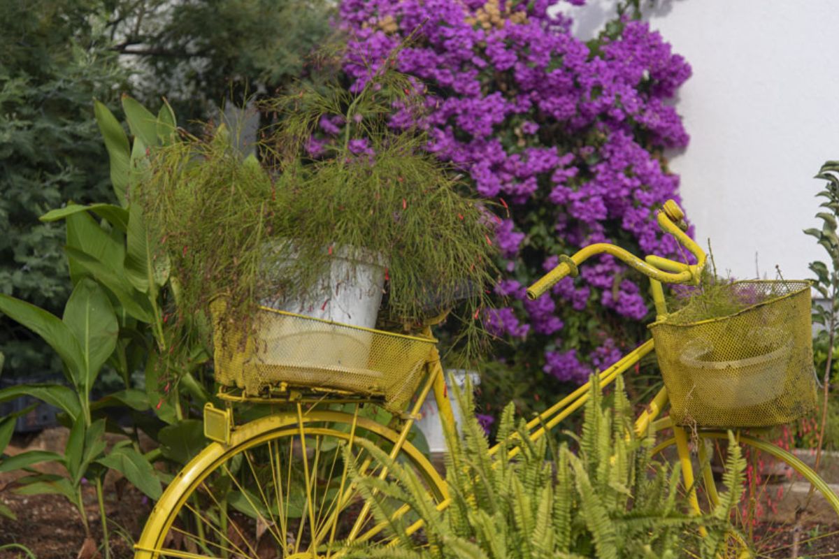 Decorare una vecchia bicicletta