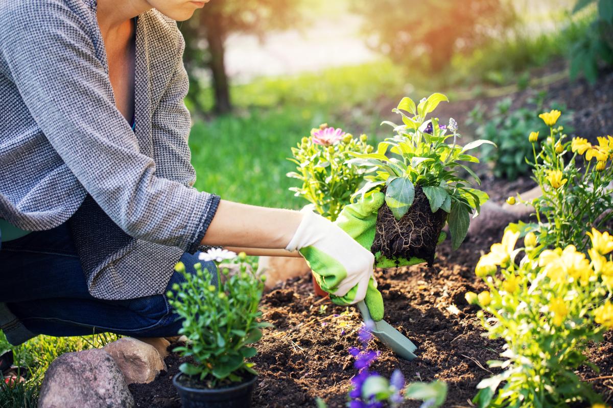 I lavori da fare a marzo in giardino