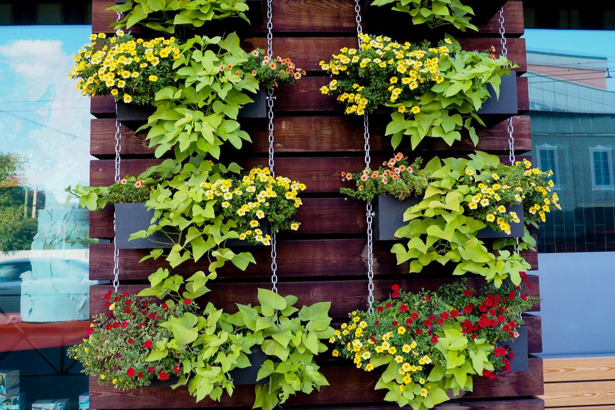 Giardino verticale