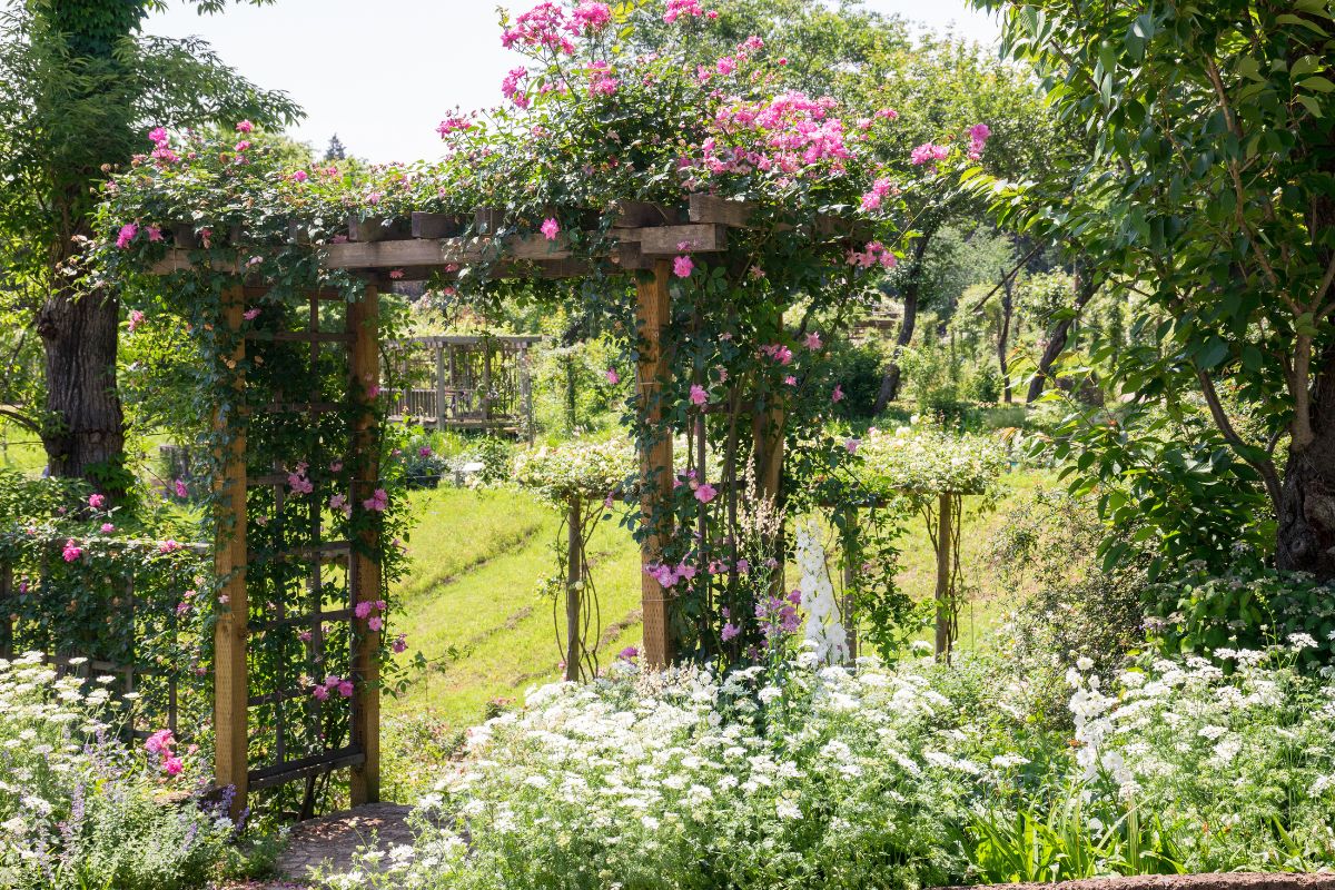 Arco da giardino