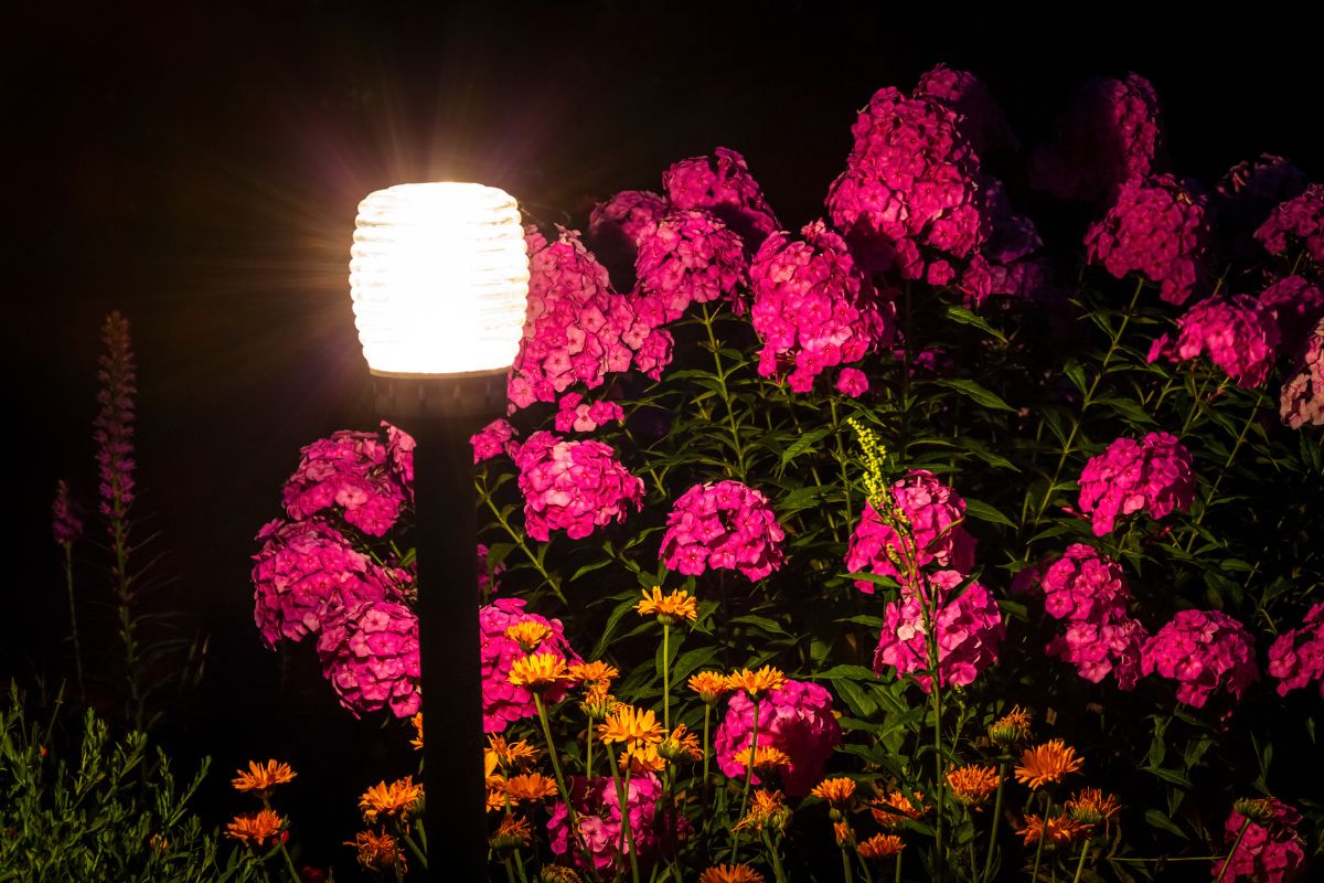 Come illuminare il giardino