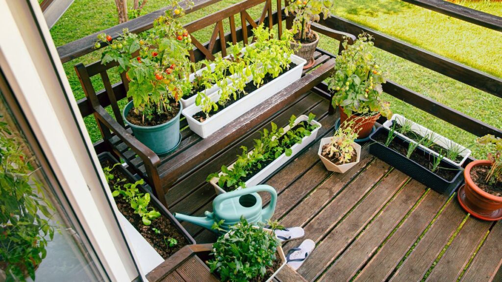 Marzo cosa piantare nell'orto sul balcone