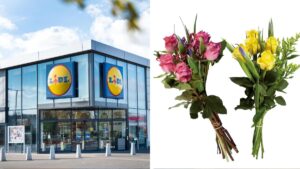 Offerte sulle piante da Lidl nel fine settimana