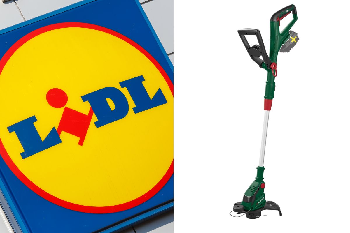 Da Lidl Tagliabordi Parkside