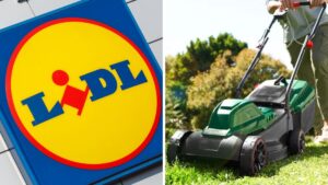 Da Lidl tosaerba elettrico PARKSIDE®